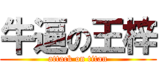 牛逼の王梓 (attack on titan)