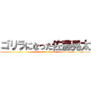 ゴリラになった佐藤晃太 (attack on titan)