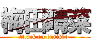 梅田晴菜 (attack on burikko )