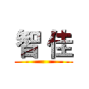 智 佳 ()