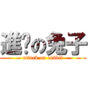 進擊の兔子 (attack on rabbit)