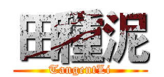 田種泥 (TangentLi)