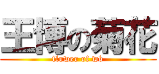王博の菊花 (flower of wb)