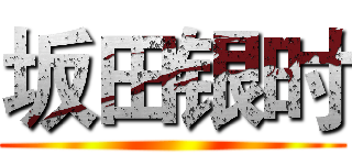 坂田银时 ()