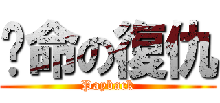 絕命の復仇 (Payback)