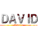 ＤＡＶＩＤ (Arbaiza)