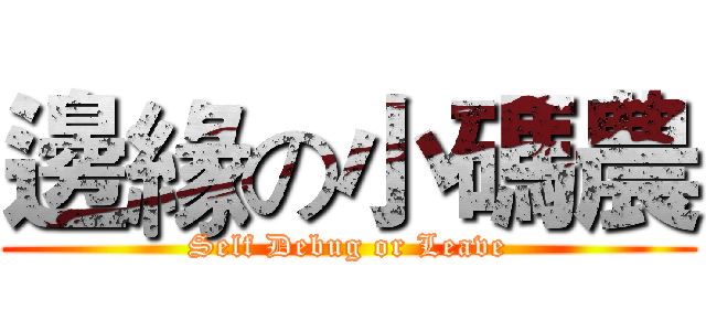 邊緣の小碼農 (Self Debug or Leave)