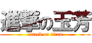 進撃の玉芳 (attack on titan)