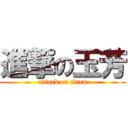 進撃の玉芳 (attack on titan)