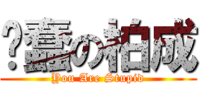 耍蠢の柏成 (You Are Stupid)
