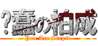 耍蠢の柏成 (You Are Stupid)