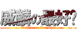 威麟の最好啦 (Weilin on Eat Shit)