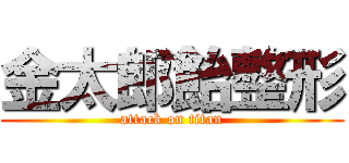 金太郎飴整形 (attack on titan)