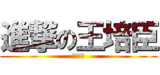 進撃の王培臣 (短莖磨人)