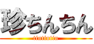 珍ちんちん (tintintin)