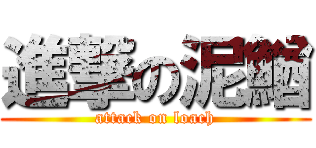 進撃の泥鰌 (attack on loach)