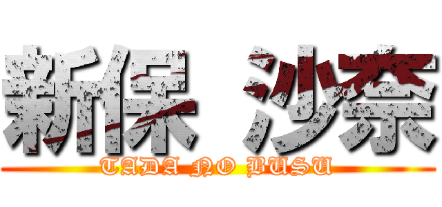 新保 沙奈 (TADA NO BUSU)