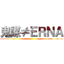 鬼謀≠ＥＲＮＡ ()