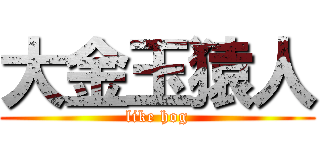 大金玉猿人 (like hog)