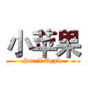 小苹果 (Small Apple)