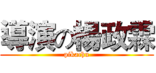 導演の楊政霖 (pikachu)