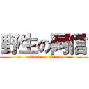 野生の阿信 (attack on titan)