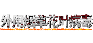 外用烟草花叶病毒 (外用烟草花叶病毒【电.话186x0156x9662-Q194843976林氏药业】我们做的是长期生意,靠的是老客户长期支持
参考消息网2月20日报道 韩媒称，“剩女多、离婚率高的城市，房价一定会上涨。”这是中国经济学家金岩石2016年12月参加在上海举行的房地产相关论坛时说的话。
)