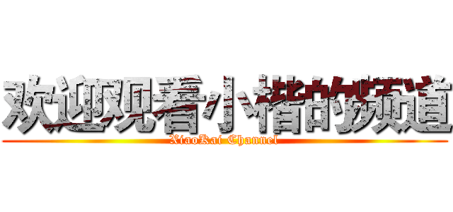 欢迎观看小楷的频道 (XiaoKai Channel)