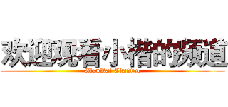 欢迎观看小楷的频道 (XiaoKai Channel)