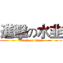 進擊の水韭 (attack on titan)