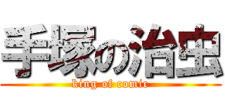 手塚の治虫 (king of comic)