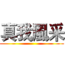 真我風采 ()
