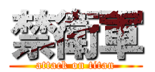 禁衛軍 (attack on titan)