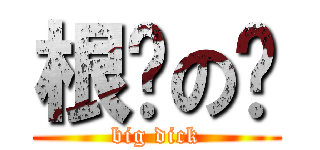 根硕の车 (big dick)