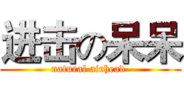 进击の呆呆 (natural airhead )