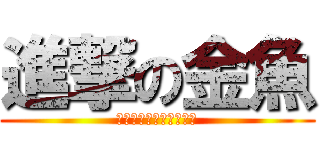 進撃の金魚 (ｋｉｎｇｙｏｓｕｋｕｉ)