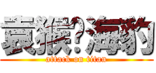 袁猴♥海豹 (attack on titan)