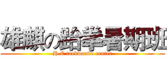 雄麒の跆拳暑期班 (H.C taekwondo center)