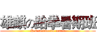 雄麒の跆拳暑期班 (H.C taekwondo center)