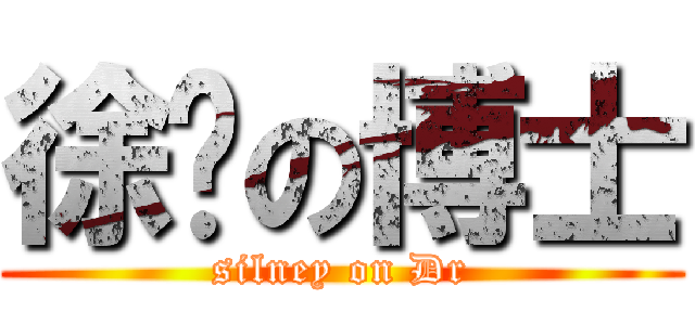 徐帅の博士 (silney on Dr)