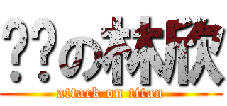 憨憨の林欣 (attack on titan)