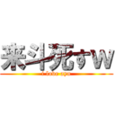 来斗死すｗ (i love ayu)