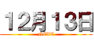 １２月１３日 (NEXT)