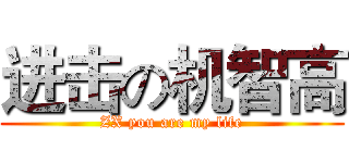 进击の机智高 (ZX you are my life)