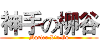 神手の柳谷 (Master Liu Gu)