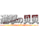 進撃の贝贝 (attack on Bei Bei)