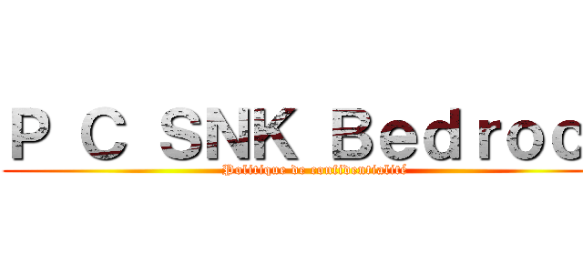 Ｐ Ｃ ＳＮＫ Ｂｅｄｒｏｃｋ (Politique de confidentialité)