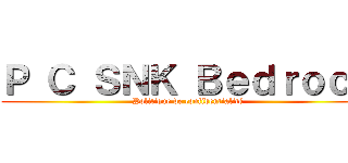 Ｐ Ｃ ＳＮＫ Ｂｅｄｒｏｃｋ (Politique de confidentialité)