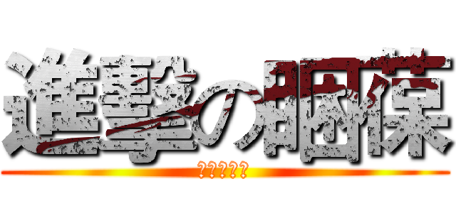 進擊の睏葆 (真是ㄍㄋㄋ)