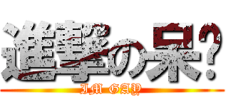 進撃の呆貓 (IM GAY)